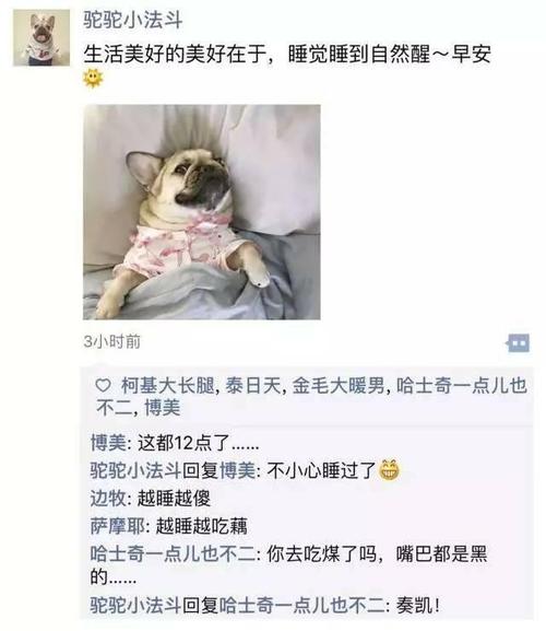 新澳今天晚上9点30分开门吗香港和朋友圈可以查看访客与朋友圈可以查看访客吗
