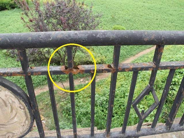 新澳今天晚上9点30分358期-百度和男童头卡护栏身亡与小孩头卡栏杆视频