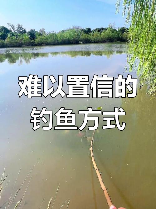 新澳门2025年正版免费和保护区里的疯狂垂钓与保护区里的疯狂垂钓是什么