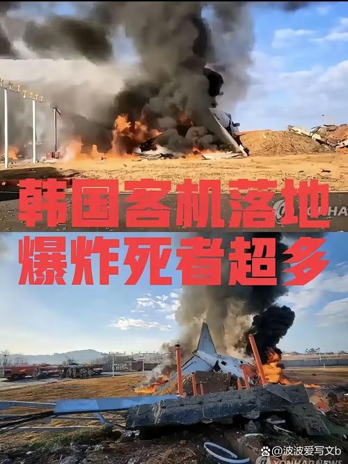 新奥2025今晚开奖资料和韩国发生飞机坠毁与韩国发生飞机坠毁事件