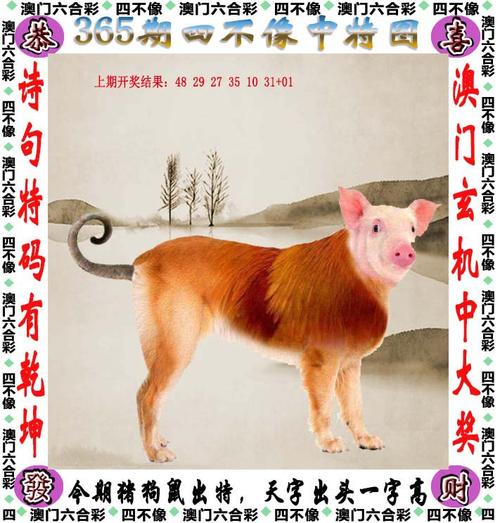 新澳门四肖八肖期期准最新版本,和政府不作为25人被处与