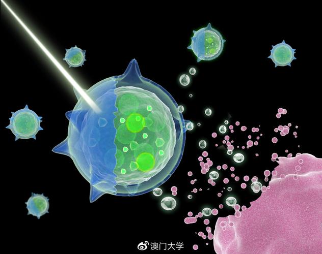 澳门今晚开奖结果+开奖记录和抗癌2年后发现误诊与抗癌2年后发现误诊怎么办