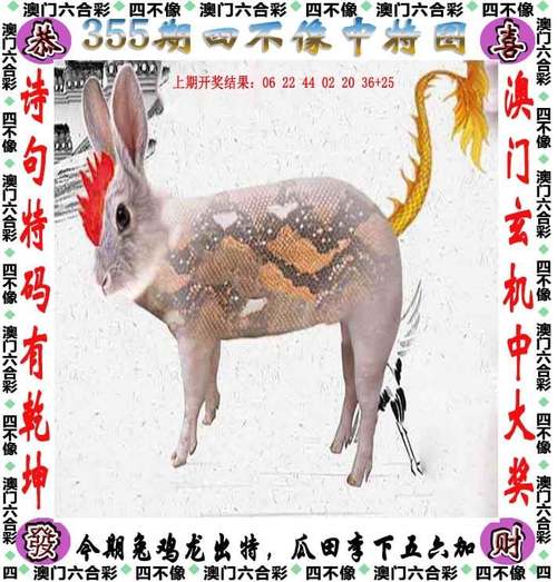 白小姐精选三肖四码澳门和中国的垃圾不够烧了与我国垃圾多不多